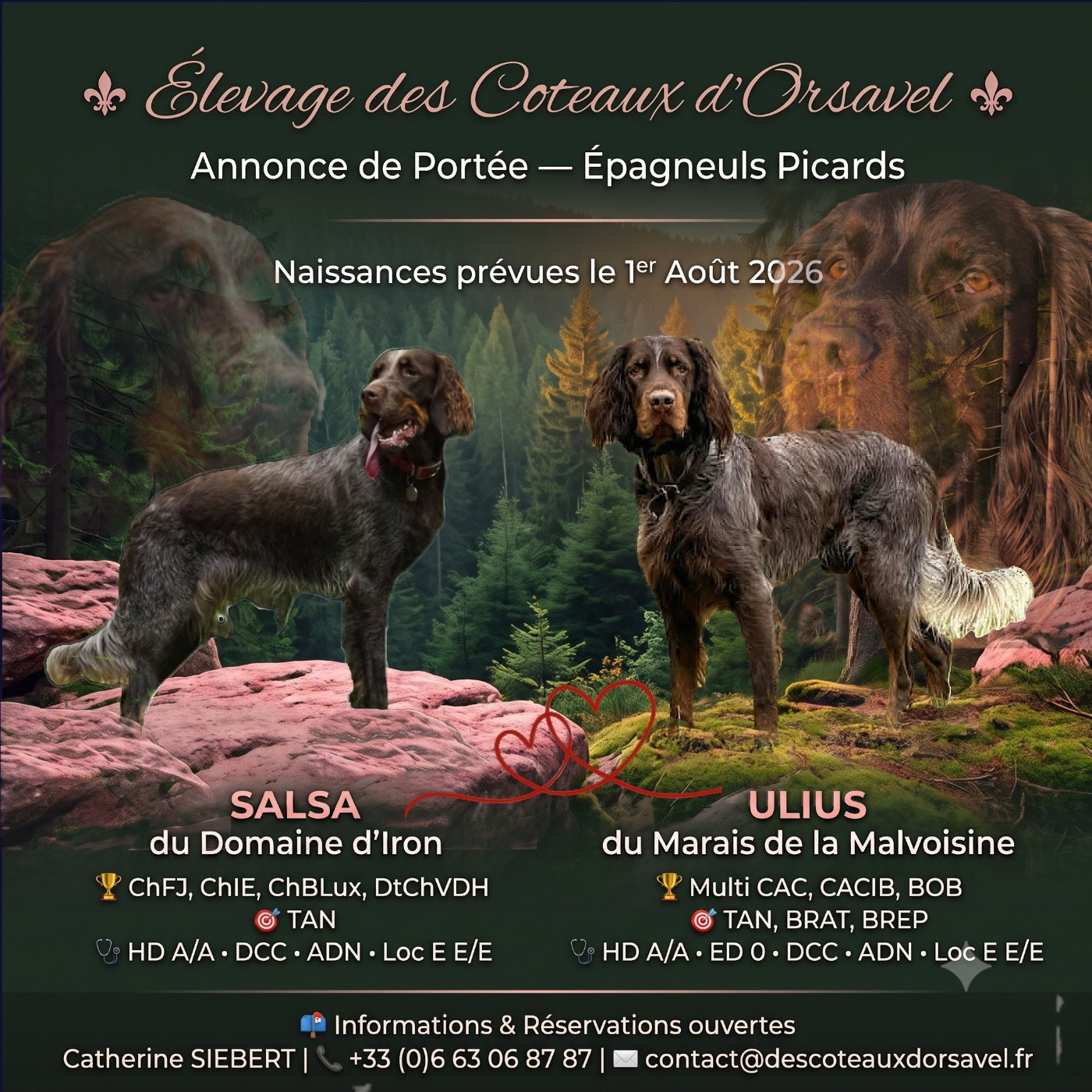 Naissances à venir aux coteaux d'Orsavel
